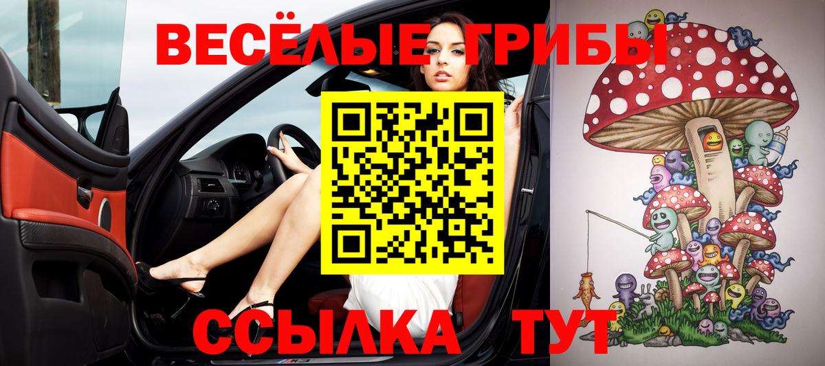 Светлоград  Псилоцибиновые грибы GOLDEN TEACHER  Вход с VPN 