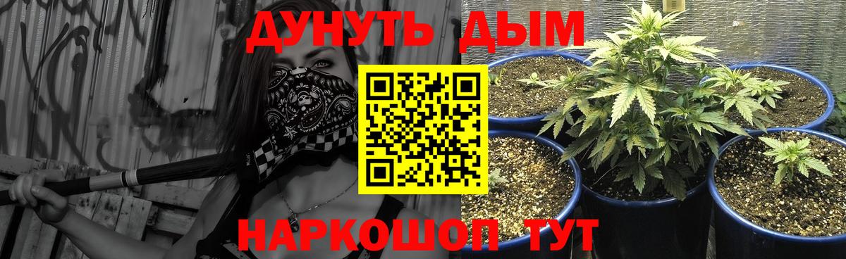 Бошки Шишки планчик  Вход с VPN  Каннабис семена  Марихуана OG Kush  Шишки марихуана план  Светлоград 